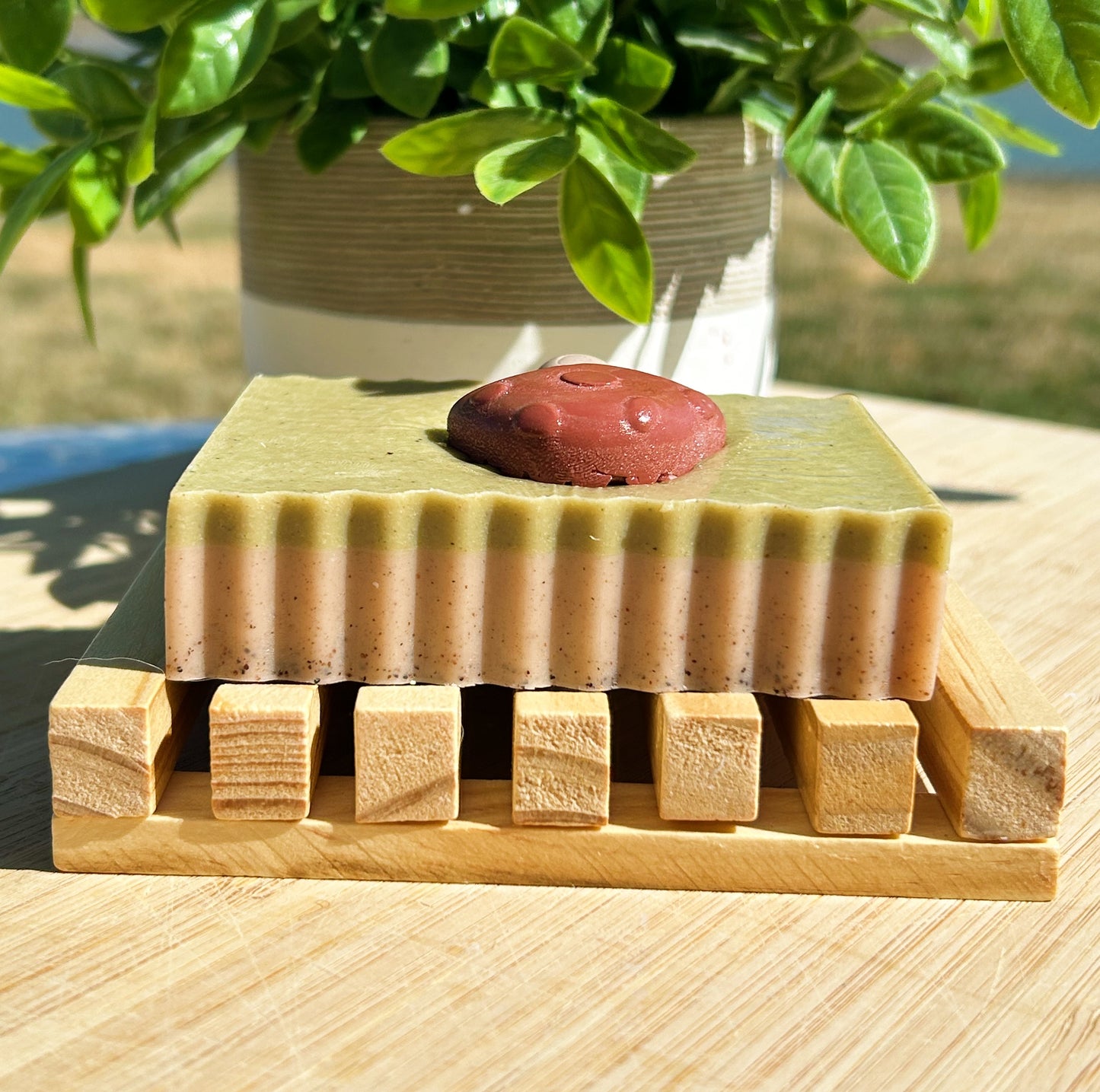 MUSHROOM FOREST |Sandalwood, Lemongrass + more