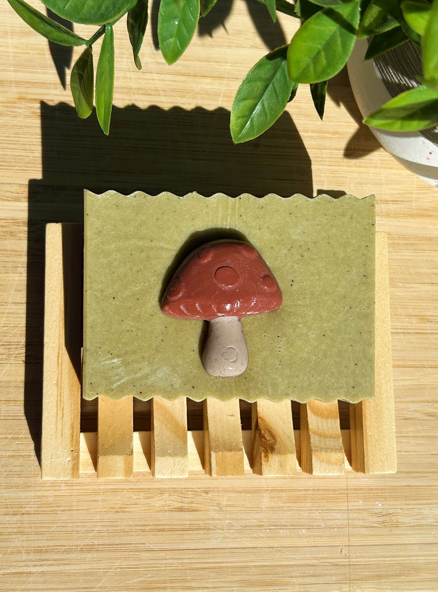MUSHROOM FOREST |Sandalwood, Lemongrass + more