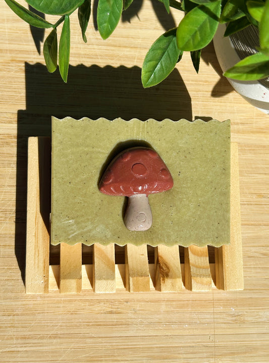 MUSHROOM FOREST |Sandalwood, Lemongrass + more