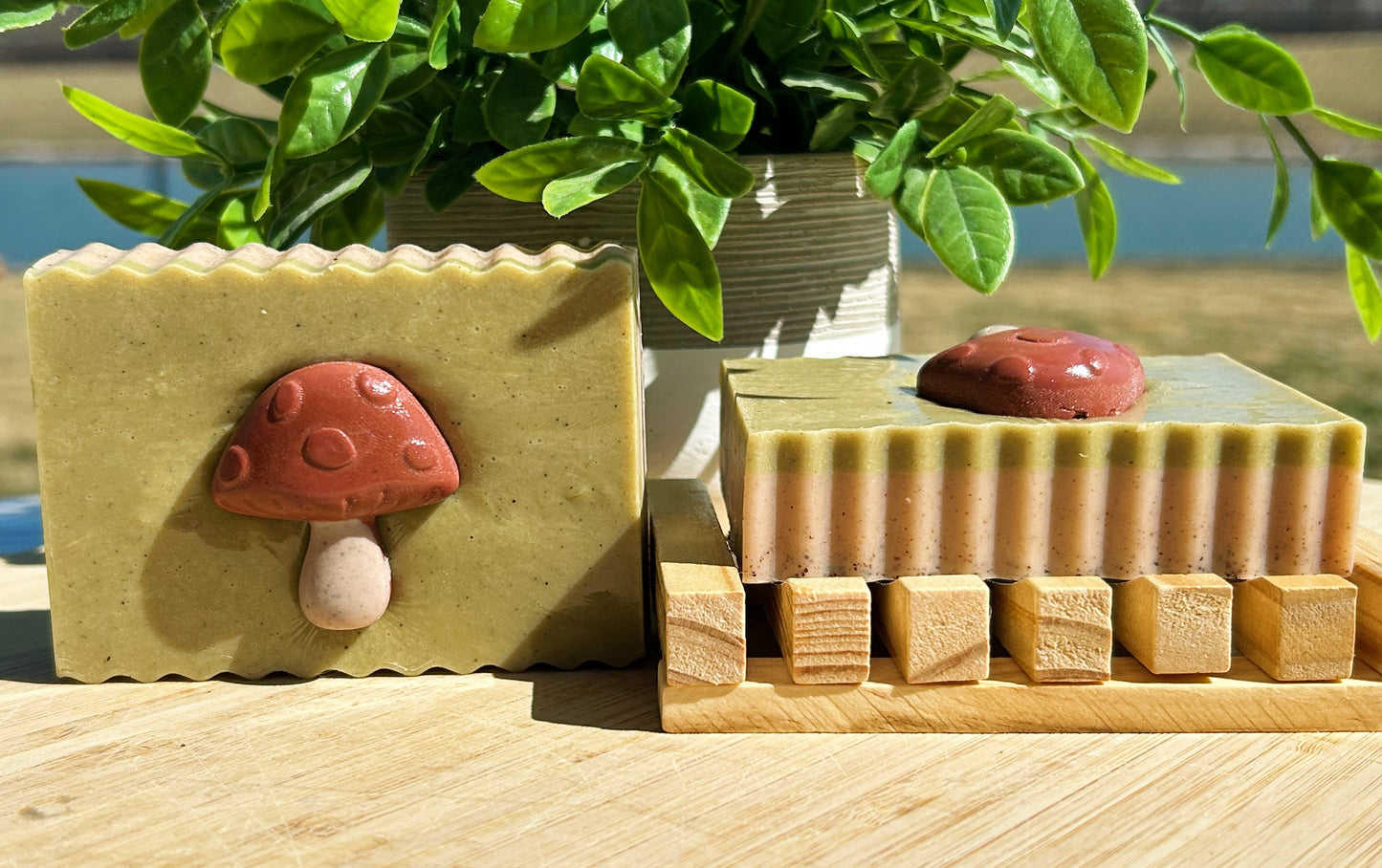 MUSHROOM FOREST |Sandalwood, Lemongrass + more