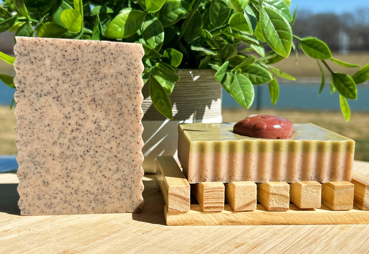 MUSHROOM FOREST |Sandalwood, Lemongrass + more