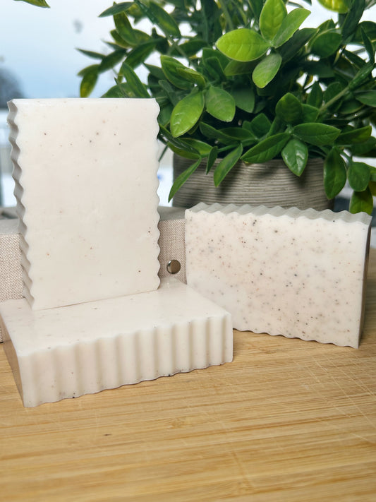 Snowy Day | Christmas Collection